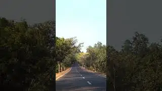 Great state highway in Odisha