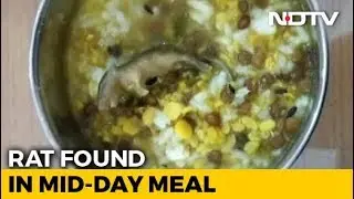 Mouse Found In Mid-Day Meal Served To Students In UP School