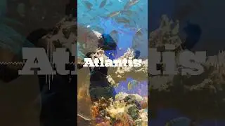 【VANICA.】Atlantis【Short MV】#shorts #BGM #song #music #creative #MV #disney #ディズニー #sea #音楽 #水族館 #海