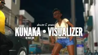 Mac Gee-Kunaka (visualizer animated by director 'S')