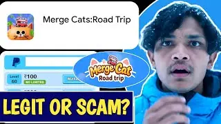 Is Merge Cats Road Trip App Legit? Complete Review in Hindi