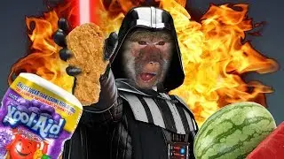 Starz Warz:Revenge Of The Negros