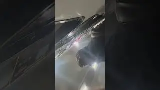 This brat black nigga girl yelling at the bus driver lol