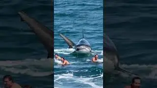 amazing shock #shocking #funny #haha