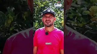Enquanto todo mundo cria igual, ele escolheu ser diferente &mdash; e achou um nicho.