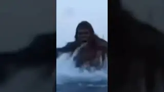 #bigfoot Attacks Subscribe today Discovering the Unknowns #Sasquatch #cryptozoologist #crypto