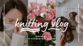 vlog 30/24 | очень много новой пряжи, покупки, подарки ✨️ мои процессы ✨️ вязание и норвежские будни