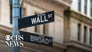 What's driving the stock market rally