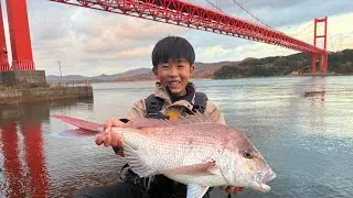 橋の下の激流にカマスを泳がせるとマダイに巨大ヒラマサが釣れるらしい。
