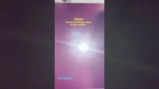 3D Laser Marking,Coding,Cutting in one machine