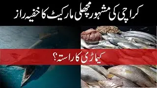 Kemari Fish Market | Best Food Street of Seafood in Karachi | Kemari Location | Home Life Recipes