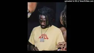 Chicken P Type Beat 