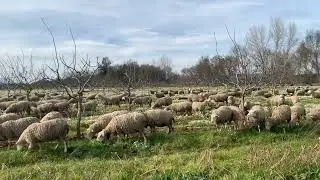30 de enero de 2024