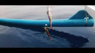 Spot Anti Boncos bikin ketagihan pengen mancing tiap hari