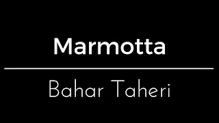 Bahar Taheri - Marmotta - MSOWQ 2019