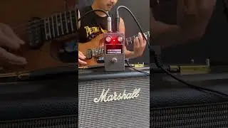Monk Sound Check Bristle Tone Bender MKII