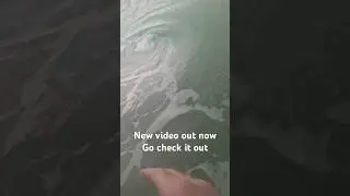 New video, go check it out please. #goviral #trending #subscribe #surfing