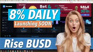Rise BUSD Dapp Launching 10/11/22 WM High Yield Fork 8%-15% DAILY | Unstake ANYTIME