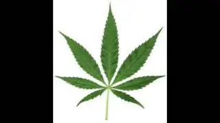 MY FIRST MONTAGE / smoke weed everyday