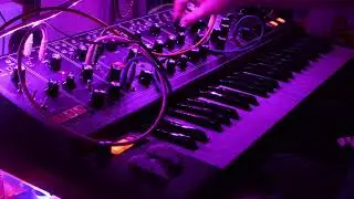 Moog Matriarch - Ambient Improvisation // 