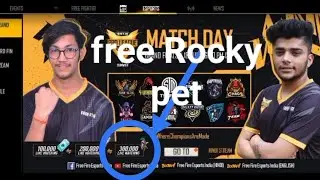 free Rocky pet