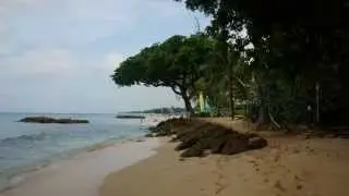 barbados bird song and beach