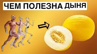 ЧЕМ ПОЛЕЗНА-ДЫНЯ ДЛЯ ОРГАНИЗМА.!ПОЛЕЗНЫЕ СВОЙСТВА ДЫНИ!*