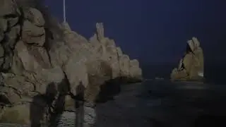 100일 기도중이어서 난 들깨칼국수만 먹었다.그래도 좋은 인연들이어서 행복했다