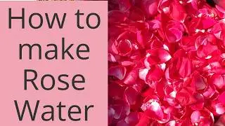 Rose water hair rinse, facial toner, room or linen mist is so easy to make