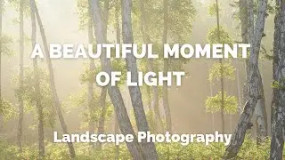 Mist & Light - That Beautiful Moment : Landscape Photography