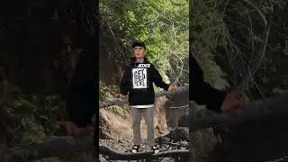 MONTE AT 7 VS WILD