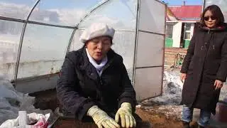 МОНГОЛ НОГОО Хичээл 1  Үрслэг ургуулах