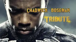 Chadwick Boseman Tribute | Rest in Power KING