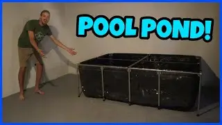 Мой новый 500-галлонный пруд-бассейн!