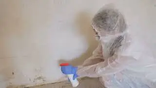 Flood damage restoration Dumont | 201-374-7005 | Dumont Mold Removal