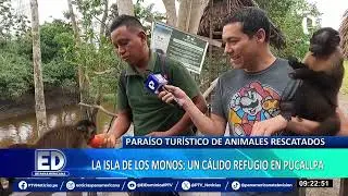 Turismo en Pucallpa: todo sobre la ‘Isla de los Monos’, un cálido refugio de primates