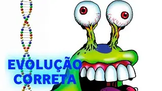 Numemon - Evolu&ccedil;&atilde;o Correta