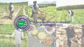Video pitch on TADAMON food security innovation on climate smart Agriculture in Afghanistan.
