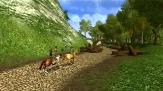 Windy Acres Ranch Horse Racing