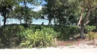 Best View At The Sanctuary Golf Club Sanibel Island Florida