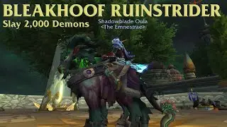 How to Get the Bleakhoof Ruinstrider | Slay 2000 Demons in Argus | EM12