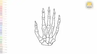 Human hand skeleton diagram | Science drawings easy | How to draw Human hand skeleton #artjanag