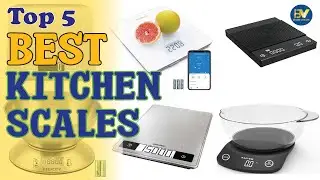 Best Kitchen Scales On Sale 2023 | Top 5 Kitchen Scales Review