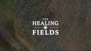 The Healing Fields- Vermont Pure CBD About Us