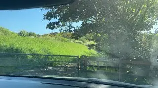 Cullaloe nature reserve exploration live