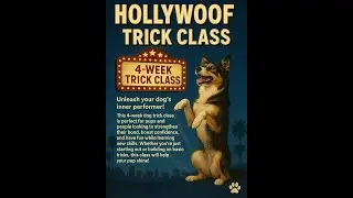 Hollywoof Trick Class! Unleash your dog inner performer!