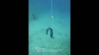 Deep Underwater Freediving Blackout Retrieval Simulations