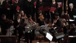 Antonio Vivaldi - Concerto in d-moll op.3/11 RV 565