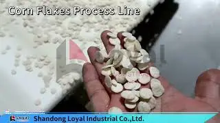 corn flakes Production line@food machine manufacturer
