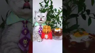 A Super Satisfying Snack🍟: Chips And Ketchup!😋🍅 #catsofyoutube #foodlover #tiktok